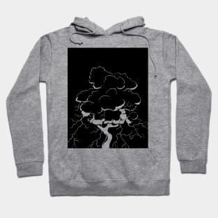 Storm Tree Hoodie